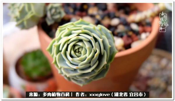 時光匆匆，一閃而逝，這世間萬物的美，都值得被記錄