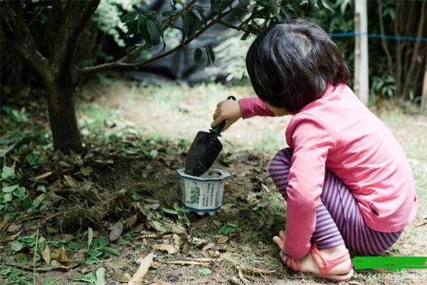 種花的土到哪裡弄?森林裡、田野邊、河灘上,一挖就是一大麻袋 種花的土到哪裡弄?森林裡、田野邊、河灘上,一挖就是一大麻袋
