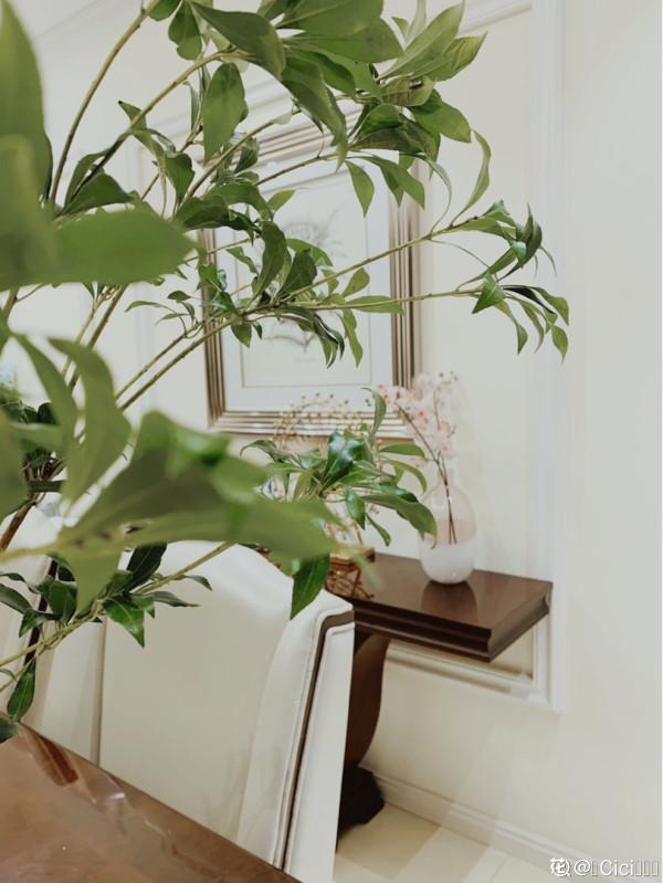 室內軟裝神器“馬醉木”，只需要一根樹枝，家裡氣質高八度