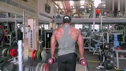 如何有效刺激三角肌？注意4點改善溜肩，把肩練寬、練飽滿