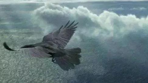 散文•速度與激情 散文•速度與激情