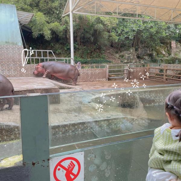 和動物們在一起 和動物們在一起