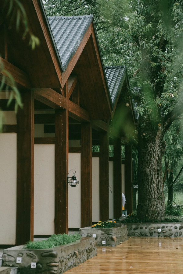 可以靠顏值，偏要靠實力！中旅新疆交出“旅遊興疆”成績單