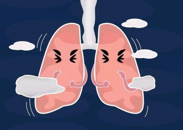 滋陰潤肺,止咳利咽——百合固金丸 滋陰潤肺,止咳利咽——百合固金丸