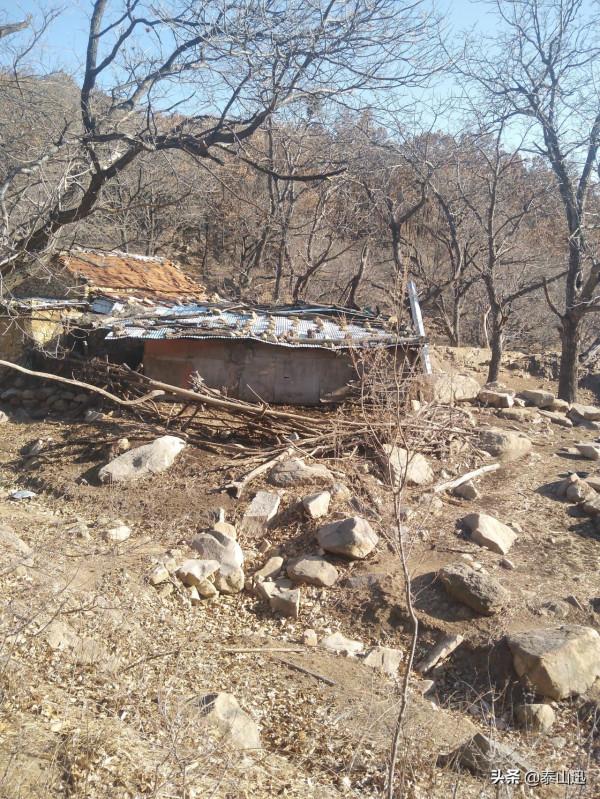 冬至驢行泰山之黃石崖，老平臺，映霞峰，桃花峪東西穿越