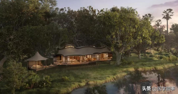 非洲自然界酒店