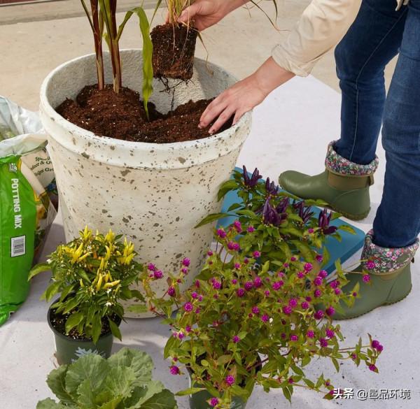 邑品科普丨收下這份攻略，你也可以打造獨一無二的容器花園