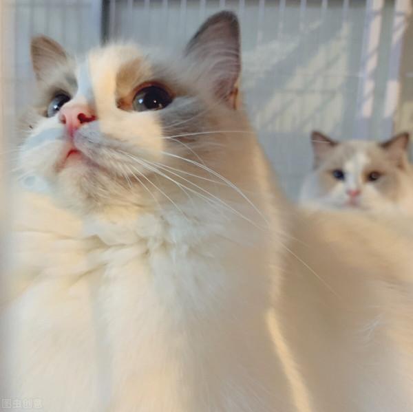 請不要傷害我們幼小的心靈