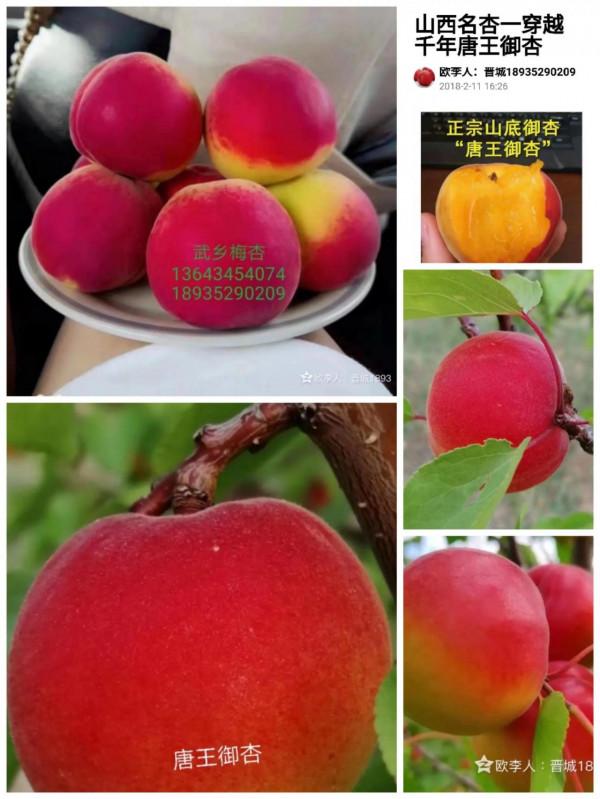 創新創業走自己的路，做事業的強者