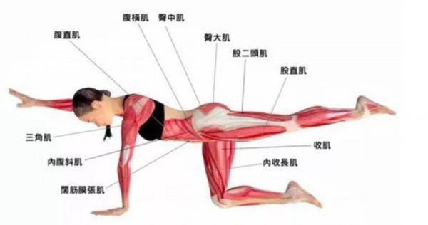 增強體質對抗病毒，居家隔離球技也能瘋狂暴漲