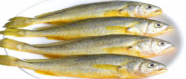 中秋吃魚,這三種魚別錯過!營養豐富味道好,魚販都要誇你是專家 中秋吃魚,這三種魚別錯過!營養豐富味道好,魚販都要誇你是專家