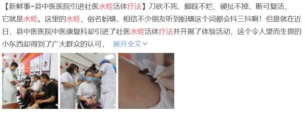 水蛭,從古到今它都是醫生的幫手...... 水蛭,從古到今它都是醫生的幫手......