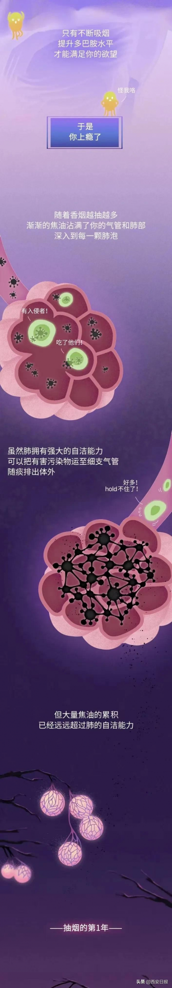 抽菸30年，你的肺都經歷了什麼