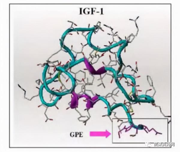 新藥巡禮：Rett綜合徵首藥在即