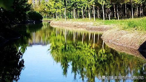 旅行記憶——從童年的郊遊開始