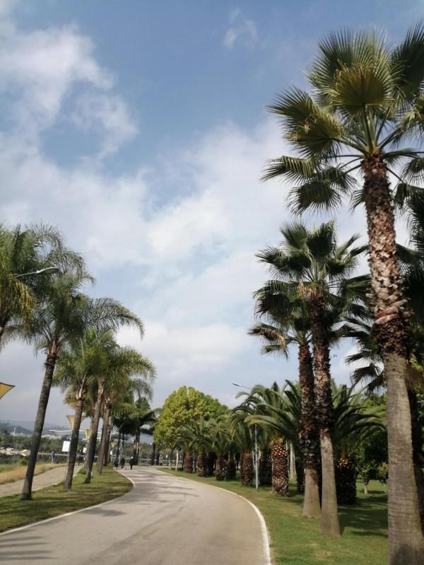 昆明到西雙版納鐵路沿線11站點旅行合集 昆明到西雙版納鐵路沿線11站點旅行合集