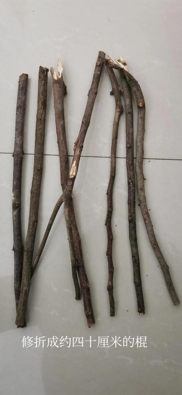 變廢為寶—樹枝變吊飾