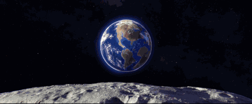 科學家：“第六次物種大滅絕”或已悄然而至！出現了哪些警示？