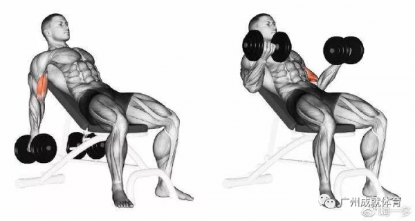 平板上斜啞鈴彎舉