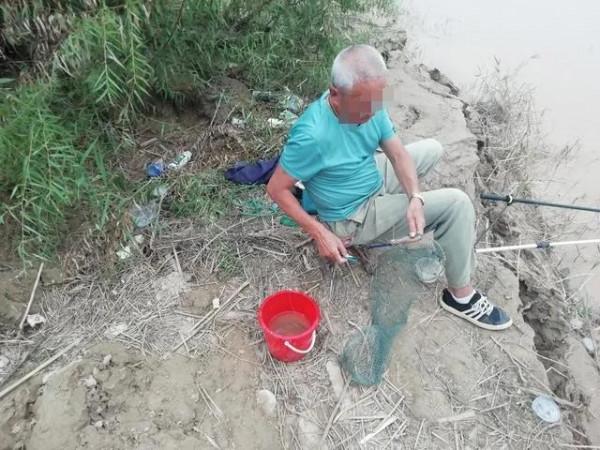 河南61歲男子隱居農村，每天趕著羊群去釣魚，用羊糞打窩狂釣草魚