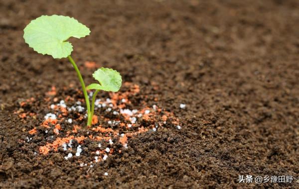 農村出現假化肥,大家購買時需謹慎 給大家分享一些購買化肥的知識 農村出現假化肥,大家購買時需謹慎 給大家分享一些購買化肥的知識