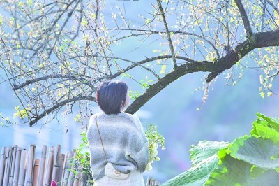 《“十四五”旅遊業發展規劃》釋出——大眾旅遊新階段 旅遊業如何向上生長