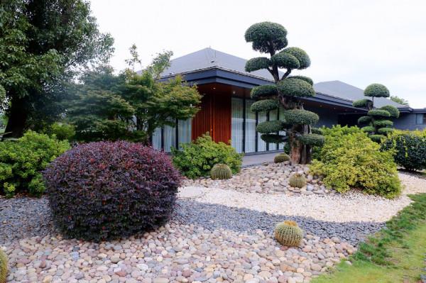 彌勒太平湖森林木屋酒店是最好的休閒、度假、養生天堂 彌勒太平湖森林木屋酒店是最好的休閒、度假、養生天堂