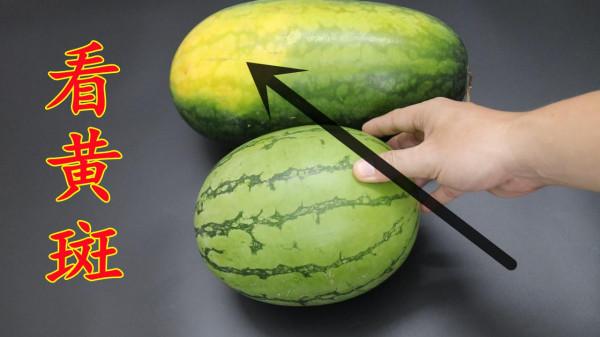 我買西瓜的時候，就看這幾點，西瓜個個又甜又多汁，學學