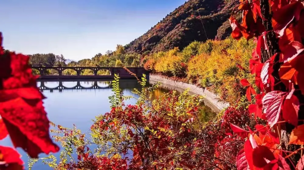 開啟“雲”賞秋之旅｜龍慶峽醉美秋景～