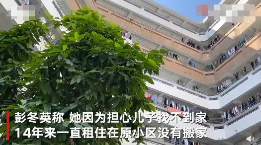 奇蹟！被拐14年後，少年憑藉記憶找到生父母，打電話喊媽讓人淚目