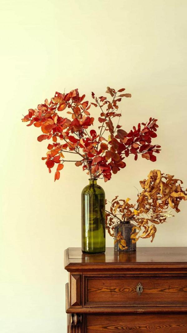 80尾女,未婚未育,裸辭1年,沒有規劃不求上進憑啥要求男的上進 80尾女,未婚未育,裸辭1年,沒有規劃不求上進憑啥要求男的上進