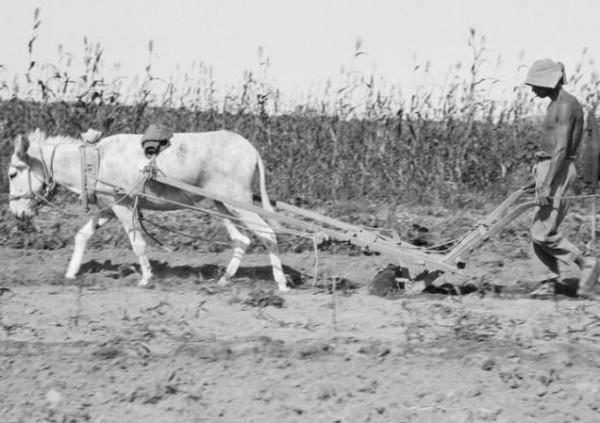 民國農村奇案:暴雪中老宅密室殺人事件,一個小破綻揭開全盤計劃 民國農村奇案:暴雪中老宅密室殺人事件,一個小破綻揭開全盤計劃