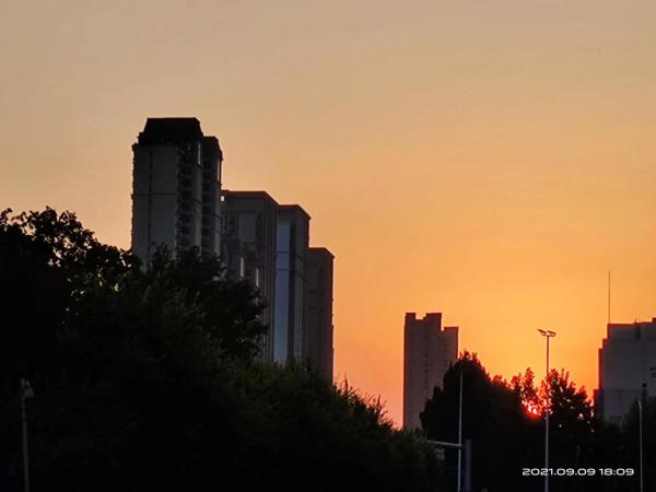 《貝多芬》讀書筆記之二:拔苗助長,只會造成難以癒合的創傷 《貝多芬》讀書筆記之二:拔苗助長,只會造成難以癒合的創傷