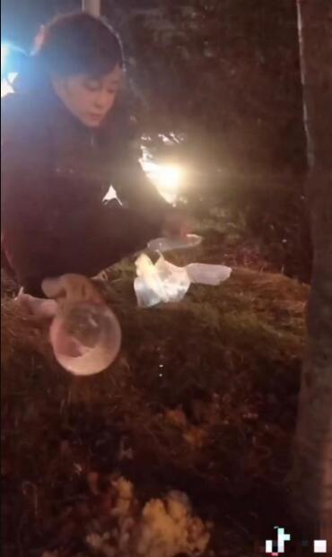 68歲劉曉慶近照,與流浪狗互動有愛心,“白髮魔女”造型太搶鏡 68歲劉曉慶近照,與流浪狗互動有愛心,“白髮魔女”造型太搶鏡