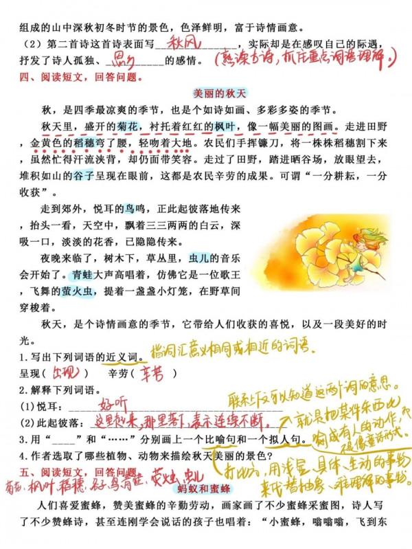 語文老師：三年級上《課外閱讀》期末突破卷，吃透，期末不丟分