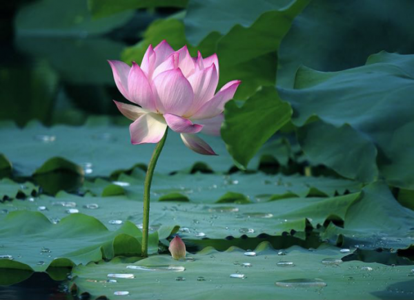 2分鐘告訴你,什麼是“順應體質”喝酒,看看你喝對了嗎? 2分鐘告訴你,什麼是“順應體質”喝酒,看看你喝對了嗎?