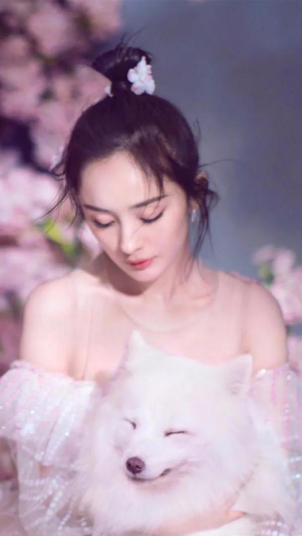 楊冪美照來一波