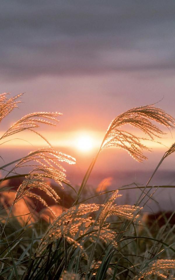 其實 原創 馬正文