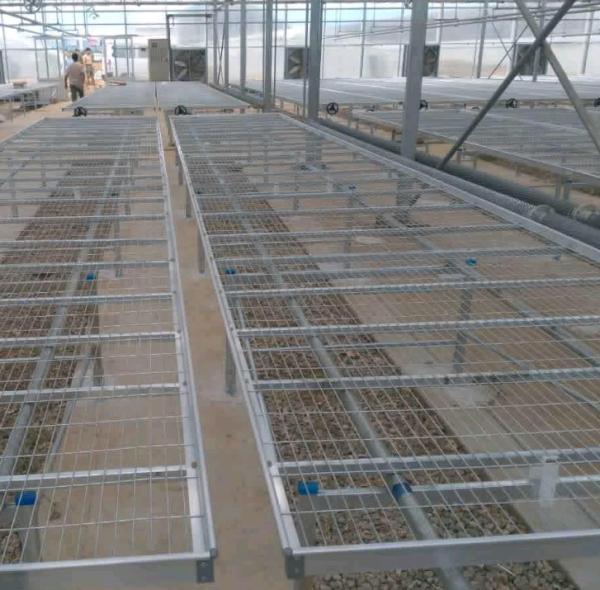 雞鴨鵝養殖,給大家介紹一種壽命長的網床,不需更換,成本也不高 雞鴨鵝養殖,給大家介紹一種壽命長的網床,不需更換,成本也不高