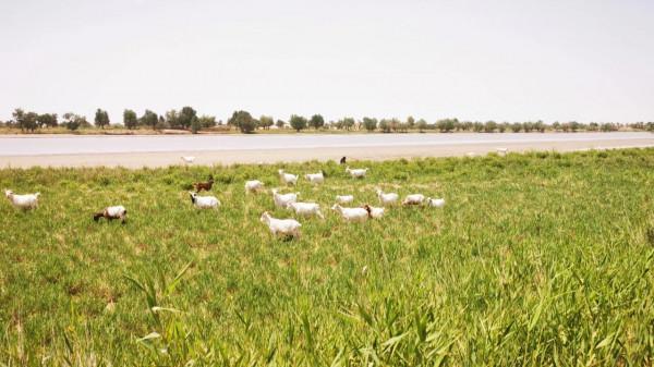 中國唯一的原始部落克里雅人，他們近況如何（青新甘13、14、15）