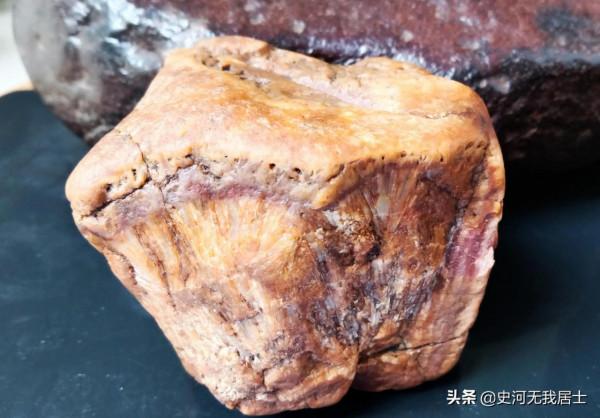 雅石圖鑑匱要_硬骨頭