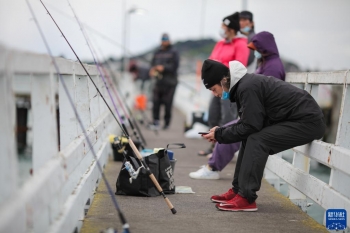 紐西蘭“封城”的日子「圖」 紐西蘭“封城”的日子「圖」