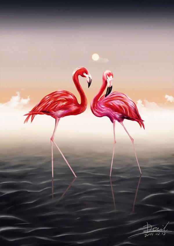 侯鳥火烈鳥紅鶴