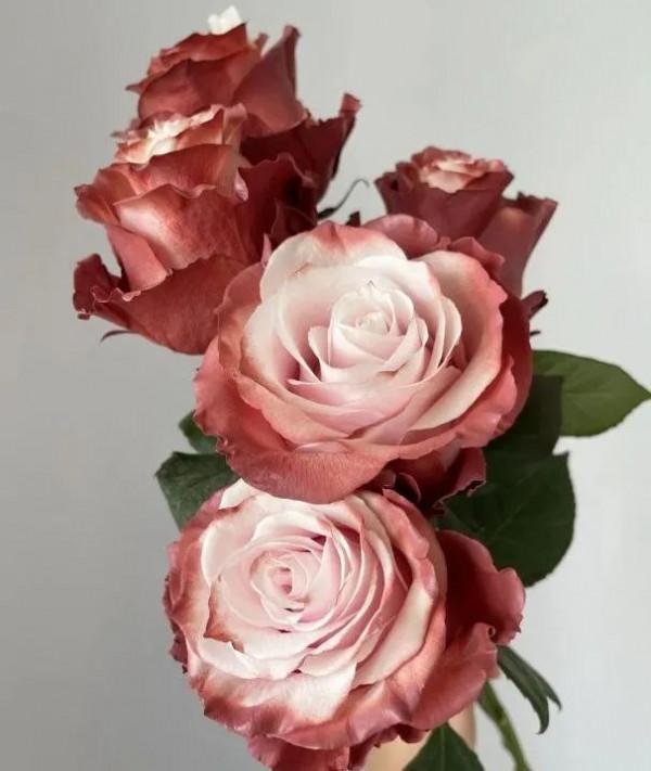 2021網紅噴色花合集，你認識幾款