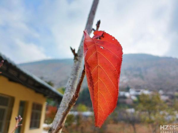 以禮河:初冬美景入畫來 文/楊林華 圖/李朝林 以禮河:初冬美景入畫來 文/楊林華 圖/李朝林