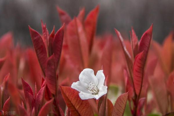 人，要學會&OpenCurlyDoubleQuote;寬容&rdquo;，心存善良