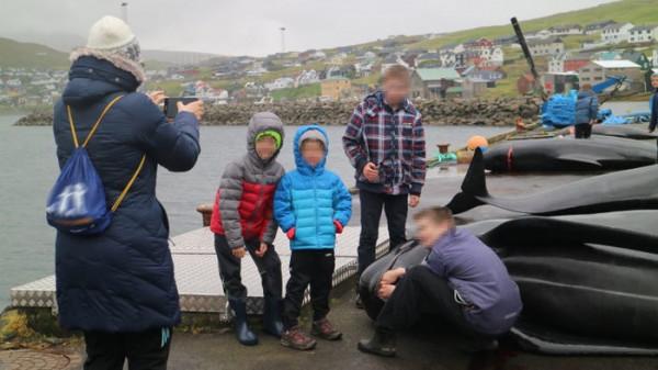 丹麥人捕殺海豚為什麼是合理的