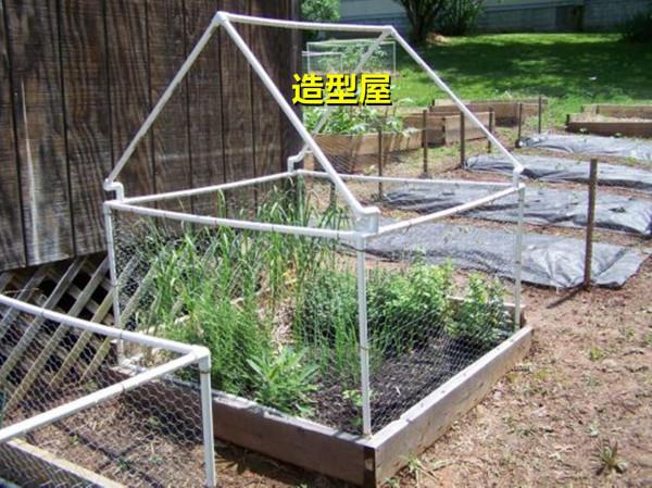 我都想好了,院子裡用塑膠管圈一塊地,四周兜張網鬆鬆土種點菜吃 我都想好了,院子裡用塑膠管圈一塊地,四周兜張網鬆鬆土種點菜吃