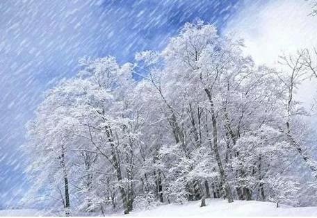 天氣預報：今日21號，麥日！特大暴雪來襲，倒春寒已定？農諺咋說