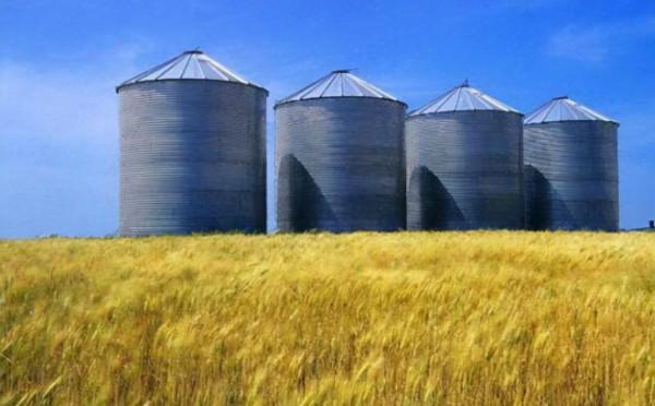 印度一直以來的願望再度落空，出口大米遭“侮辱”，事情有新進展